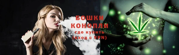 mdpv Белокуриха