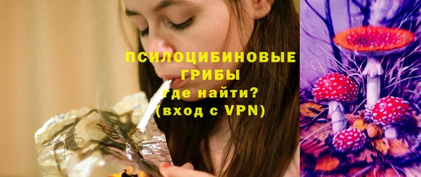 mdpv Белокуриха